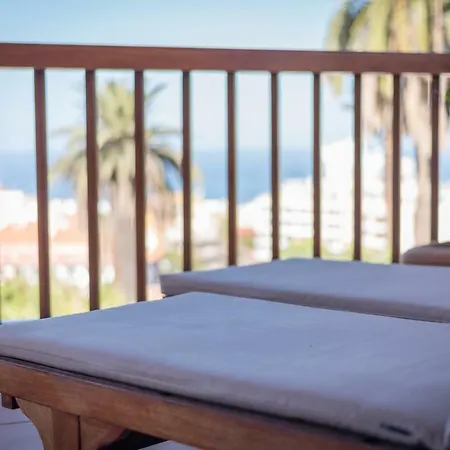 Limonero * プエルト・デ・ラ・クルス