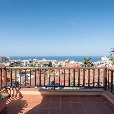 Limonero * プエルト・デ・ラ・クルス