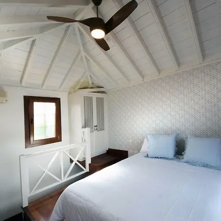 Limonero Puerto de la Cruz (Tenerife)