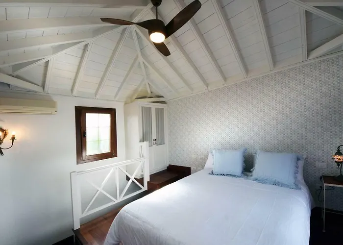 Limonero Puerto de la Cruz (Tenerife)