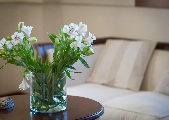 Limonero Hébergement de vacances Puerto de la Cruz (Tenerife)