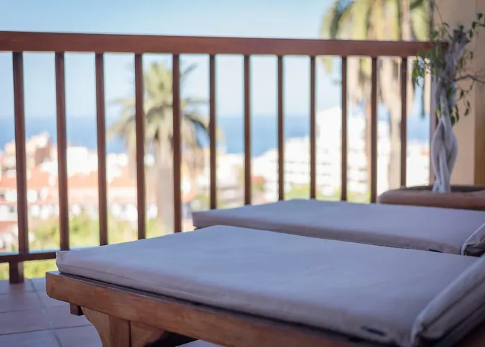 Limonero * Puerto de la Cruz (Tenerife)