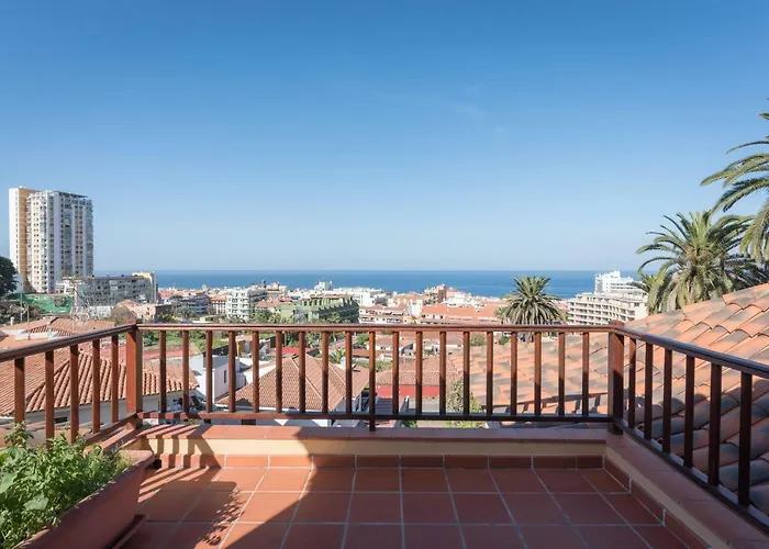 Limonero * Puerto de la Cruz (Tenerife)