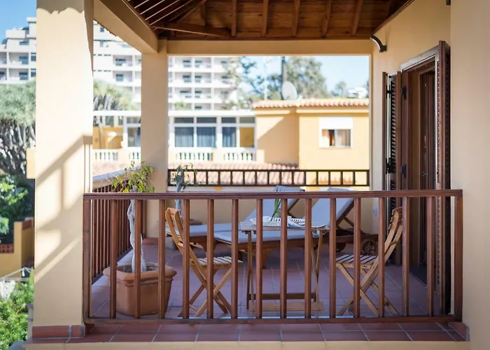 Limonero Puerto de la Cruz (Tenerife)