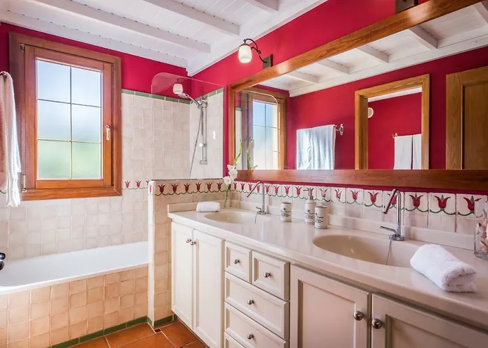 Limonero * Puerto de la Cruz (Tenerife)