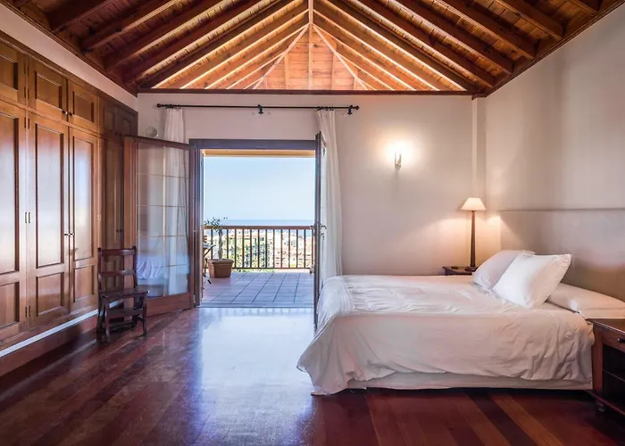 Limonero * Puerto de la Cruz (Tenerife)