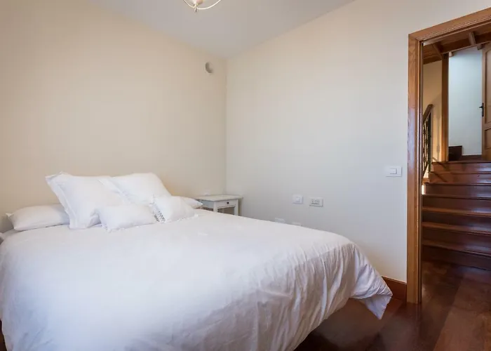 Limonero * Puerto de la Cruz (Tenerife)