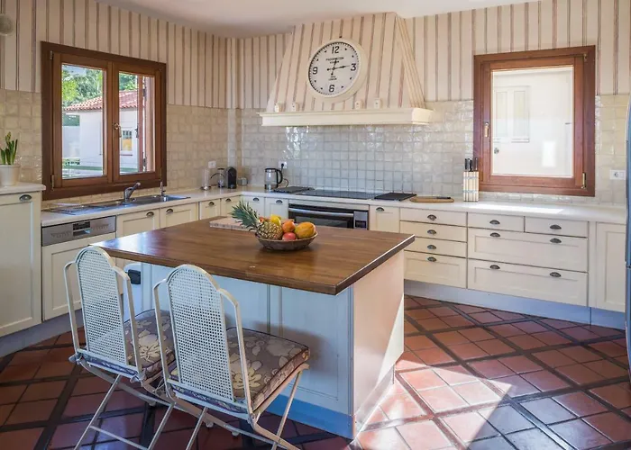 Limonero * Puerto de la Cruz (Tenerife)