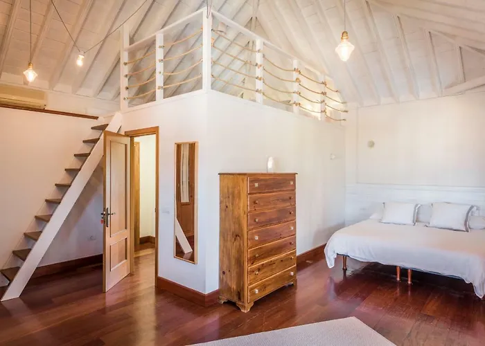 Limonero Puerto de la Cruz (Tenerife)