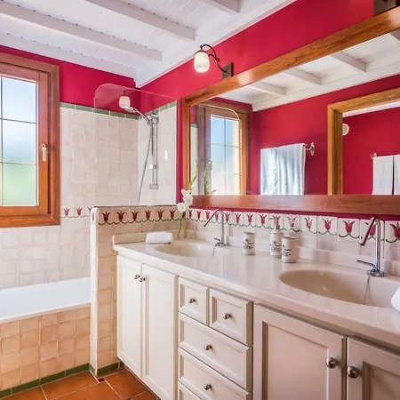 Limonero * Puerto de la Cruz (Tenerife)