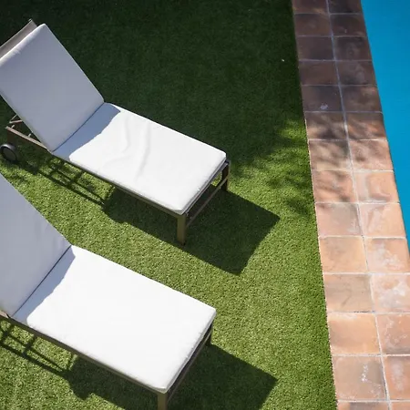 Limonero * Puerto de la Cruz (Tenerife)