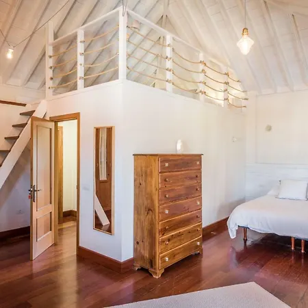 Limonero Puerto de la Cruz (Tenerife)